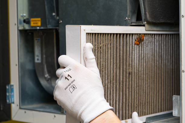Best Ductwork Cleaning Services  in Kirkwood, MO